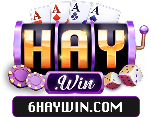 6haywin.com