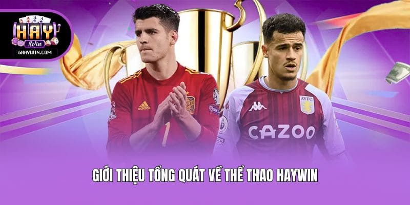 Giới thiệu tổng quát về thể thao Haywin