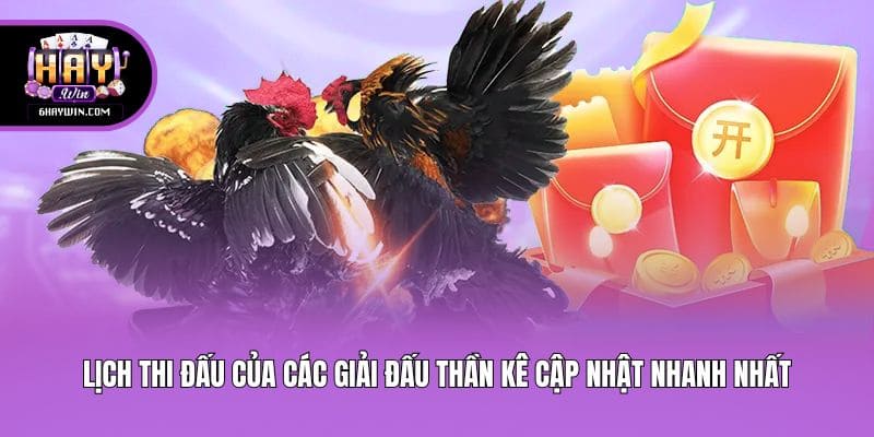 Lịch thi đấu của các giải đấu thần kê cập nhật nhanh nhất